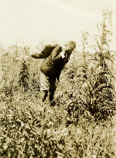 File:John Kunkel Small searching for specimens, Florida - State Archives of Florida.jpg