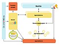 regiowiki:Datei:LA21 Organigramm.jpg