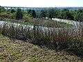 Unstruttalbrücke westlich von Steigra