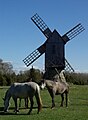 Windmill in Koguva