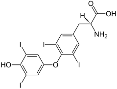 (S)-Thyroxine Structural Formulae V2.svg