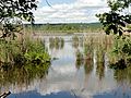 Sumpfgebiet Marais de Cinqueux im Norden der Gemeinde