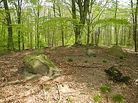 ND CLP 00075 Großsteingrab im Fuhrenkamp