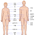 한국어