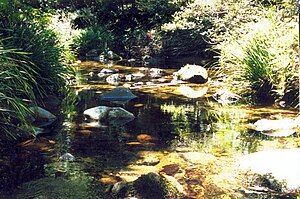 Washpool River