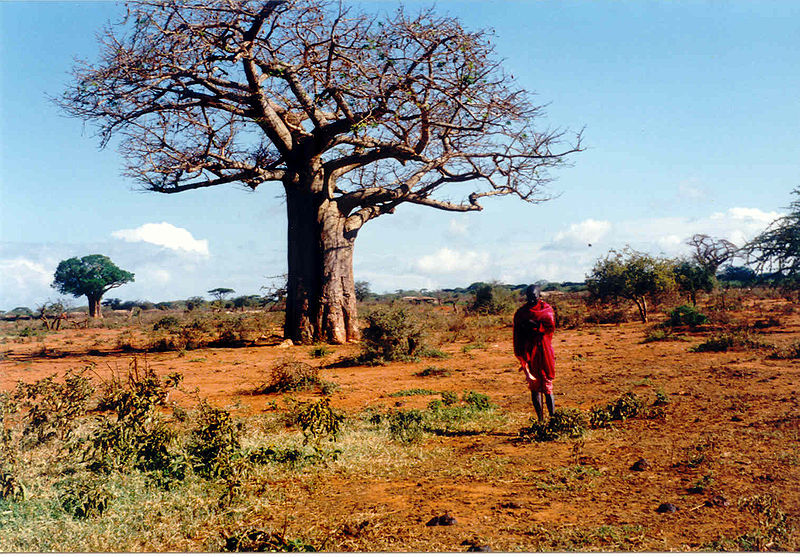 File:Massai-001.jpg