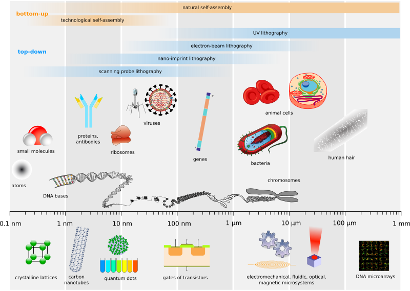 File:Biological and technological scales compared-en.svg