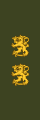 Kenraalimajuri (Swedish: Generalmajor) (Finnish Army)[28]