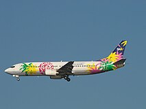 Skynet Asia Airways 737-46Q (JA737B)