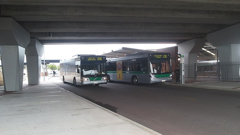 File:Transperth Volvo B7RLE TP1689 & TP2510 @ Thornlie Station.jpg