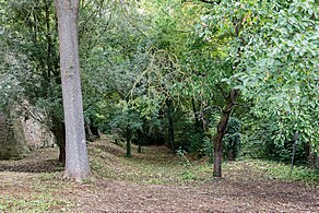 Verlandete Grabenreste der Wasserburg im Süden mit vermutlichen Resten der Burgmauerbefestigung