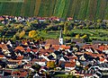 * Nomination: View of Escherndorf am Main from the wine island. --Ermell 06:38, 29 October 2024 (UTC) * Review  Comment Good photo, but the whole image seems to skew slightly to the right. ReneeWrites 10:26, 29 October 2024 (UTC)  DoneThanks for the review.--Ermell 22:10, 5 November 2024 (UTC)