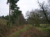 Knettishall Heath