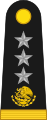 General de división (Mexican Army)[21]