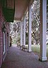 Terrace of Hobcaw Barony