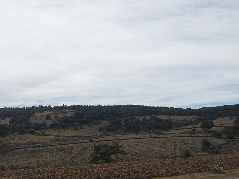 File:Lomas de Santiago Oxthoc, Jilotepec, Edo. de Mexico - panoramio.jpg