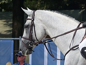 Nevados S, cheval de sport polonais, au Paris Eiffel Jumping 2018.