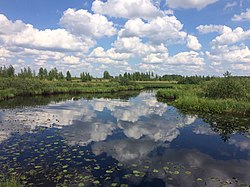 Polistovsky Nature Reserve, Loknyansky District