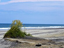 Pea Island Ocean View