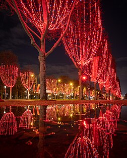 Luzes de Natal na avenida Champs-Élysées, em Paris, França (2020). As exibições de luzes de Natal em locais públicos e em prédios públicos são uma parte popular da comemoração anual do Natal e podem ser montadas por empresas ou por governos locais. As exibições utilizam as luzes de Natal de várias maneiras, inclusive enfeitando árvores de Natal imponentes em praças públicas, árvores de rua e árvores de parques, adornando postes de luz e outras estruturas semelhantes, decorando edifícios importantes, como prefeituras e lojas de departamentos, e iluminando atrações turísticas populares. (definição 3 502 × 3 502)