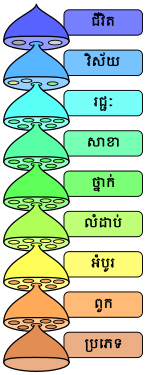 ភាសាខ្មែរ