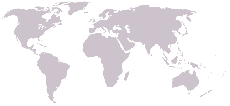 File:Blank map of world no country borders.PNG