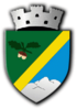 Coat of arms of Huedin