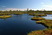 Alutaguse nationalpark.