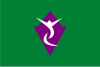 Flag of Sakae