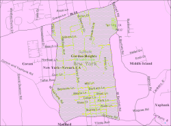 U.S. Census map