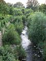 Renaturierter Liesingbach im Bereich Kalksburg, Rodaun