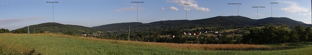 Grupa Żurawnicy, panorama widokowa ze Śleszowic