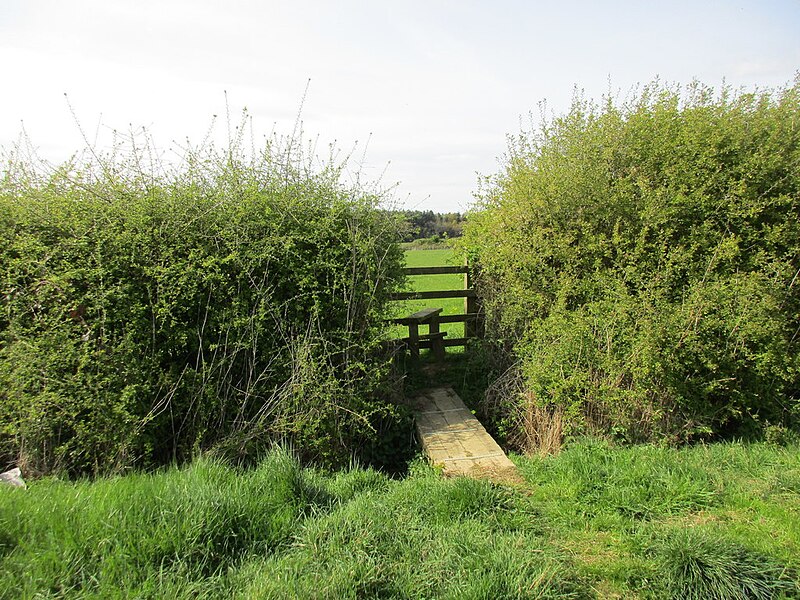 File:Plank bridge and stile - geograph.org.uk - 5369348.jpg