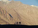 Silhoutte taken at Nubra Valley