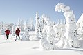 Talvine Riisitunturi rahvuspark