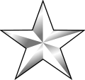 Brigadier general