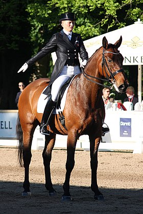 Bang Larsen et Fitou L, un cheval Danois sang chaud, sur une compétition de dressage.