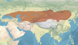 Göktürk kağanlığı Kuzeyde Tunguz Halkları ve batısında Sasani İmparatorluğu olmak üzere 562 deki sınırları ve en büyük sınırları 32 bin kilometrekare olarak 571 yılındaydı