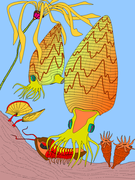 Ricostruzione schematica di nautiloidi oncoceratidi (Gomphoceras) a caccia in un ambiente di barriera corallina esterna di età siluriana.[N 11] L'ornamentazione costituita da lineazioni scure a zig-zag su fondo chiaro è caratteristica di forme simili.[53]