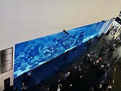 Dubai Aquarium and underwater Zoo (Ank Kumar, Infosys) 01.jpg