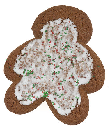 Little Debbie Gingerbread Cookie