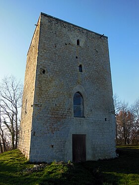 Image illustrative de l’article Château de Poyaller