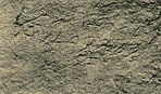 Photo of the graffito (Black and white image of ancient stone-carved symbols)