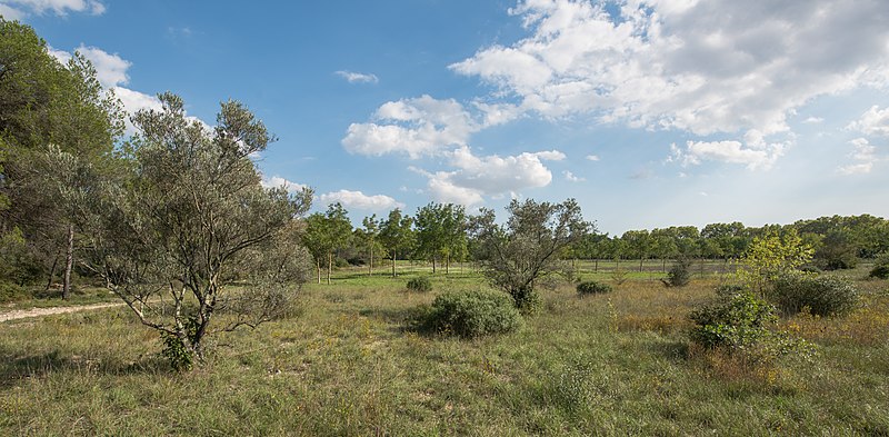 File:Domaine de Restinclières. Prades-le-Lez 04.jpg