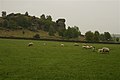 Brimham Beacon, seen in the background, 2007