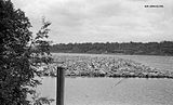 Tømmeropplag i Vorma 1952, like ved fløterhytta Røkholt nord for Sundet. Foto: Gjessing, Sven