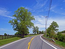 A gently curving road under a blue sky with some cirrus clouds. There are large trees on the left of the road and fields with wooden fences on both sides.