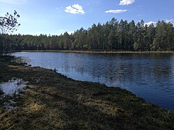 Alainen Kotajärvi kaakosta päin.