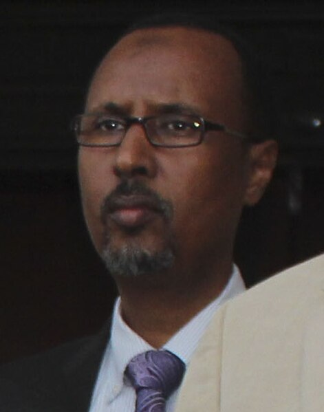 File:Ali Haji Warsame 2015 (cropped).jpg