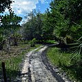 Kilpatrick Hammock Trail